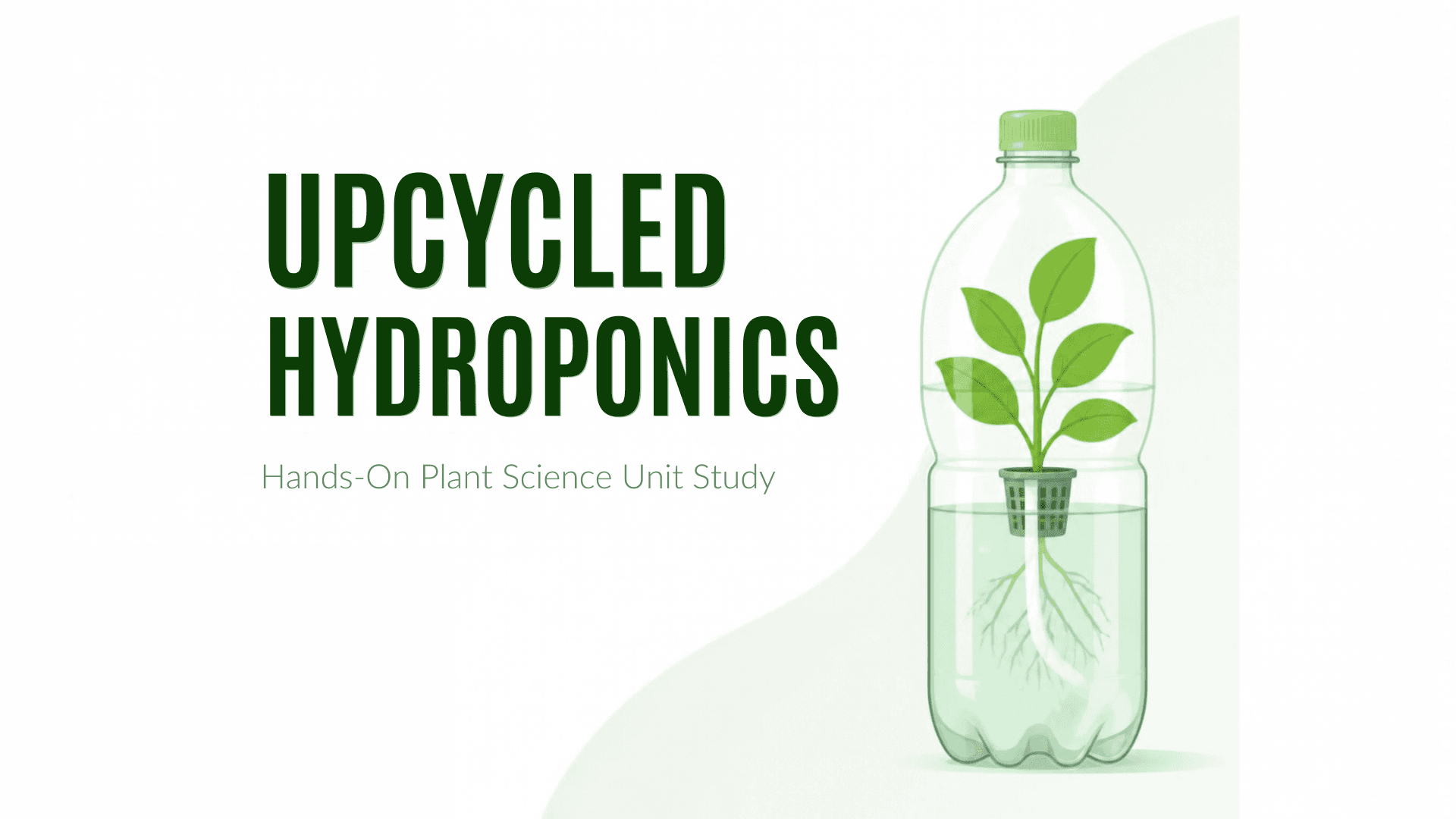 Upcycled Hydroponics STEM Unit Study