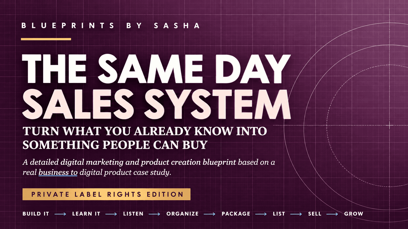 The Same-Day Sales System - Early Access PLR