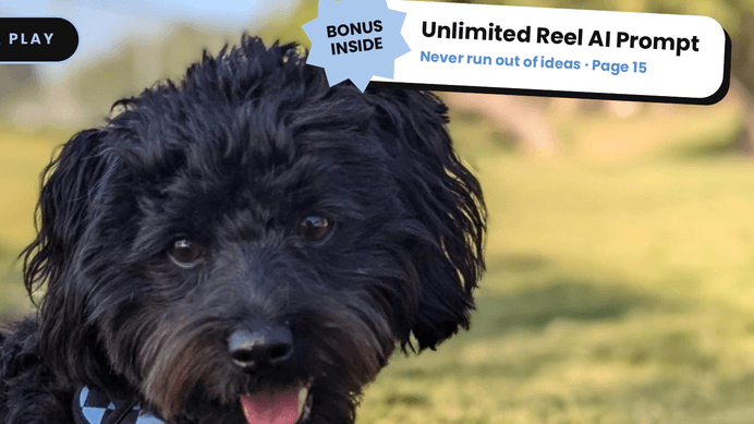 Get My 30 Reel Ideas + AI Bonus Now!