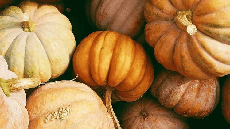 Autumn Skin Guide
