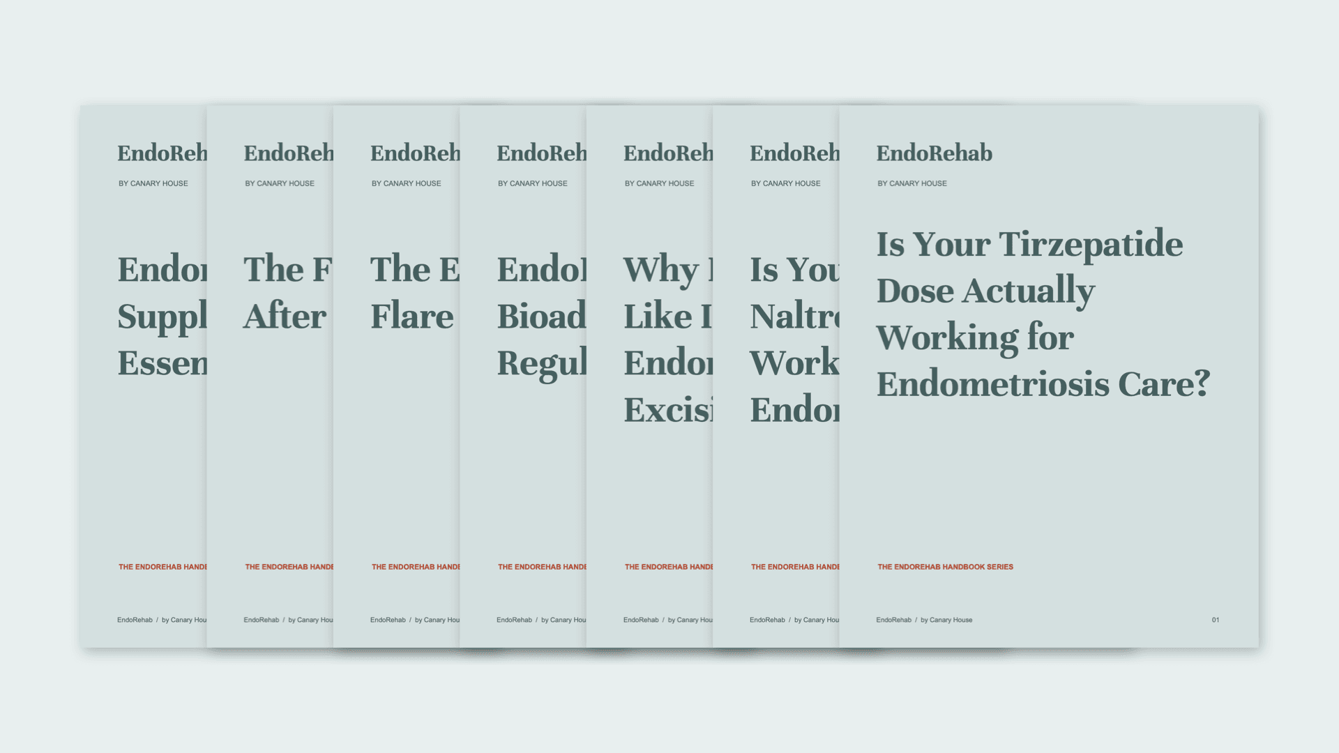 Seven-Guide EndoRehab Library Order Bump ($68)