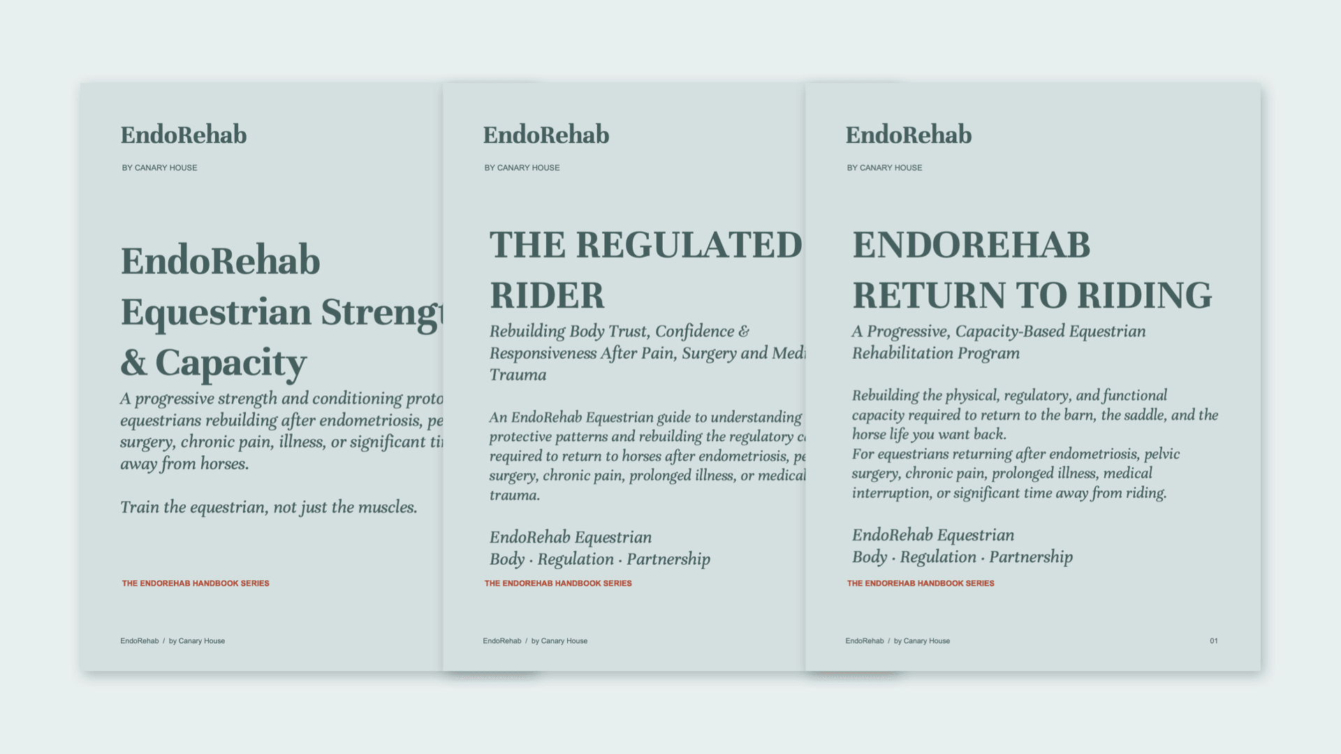 EndoRehab Return to Horse Bundle ($79)