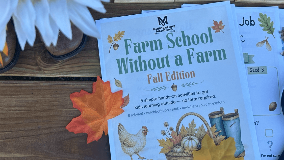 FREE Fall Nature Activity Pack 🍂