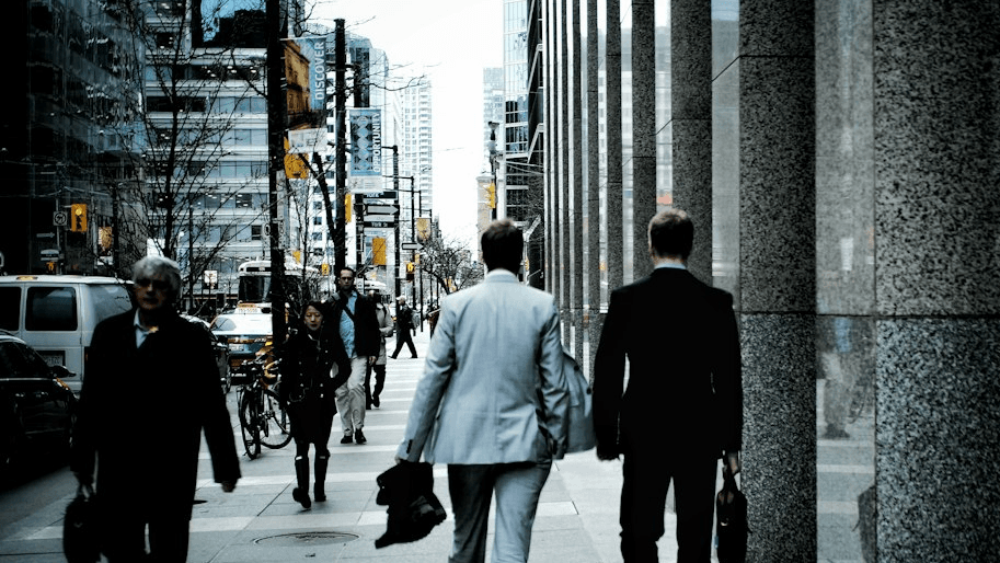 THE WEALTH MINDSET