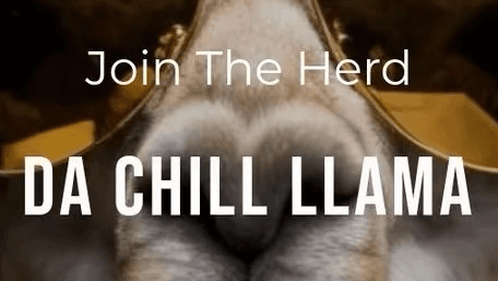 DA CHILL LLAMA PASTURE