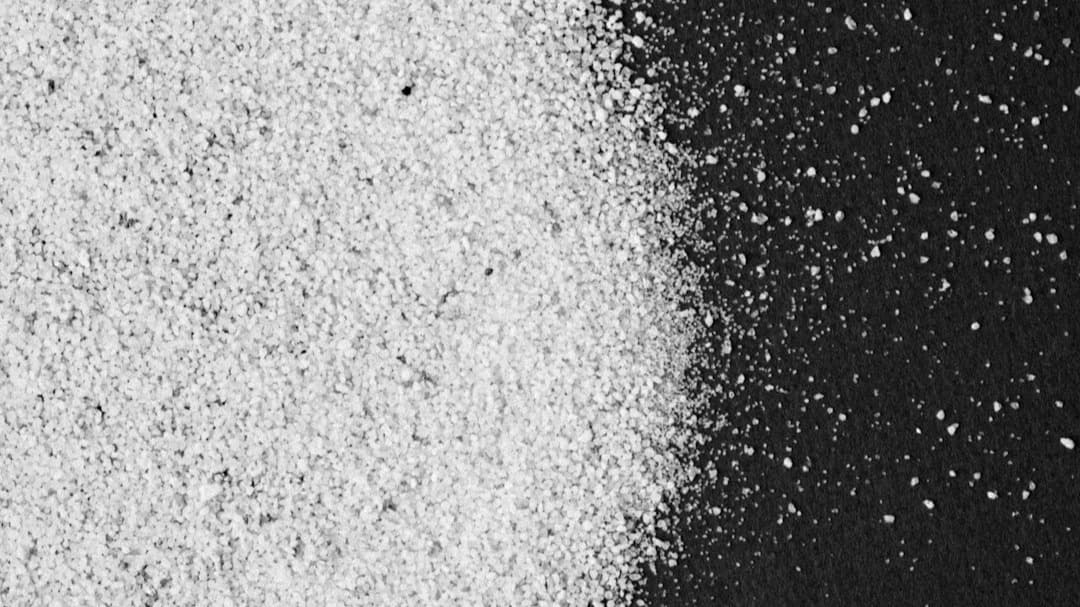 The Power Of Leucine