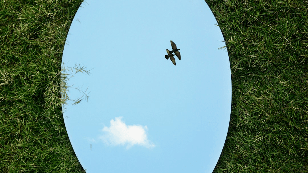The Magnetic Self