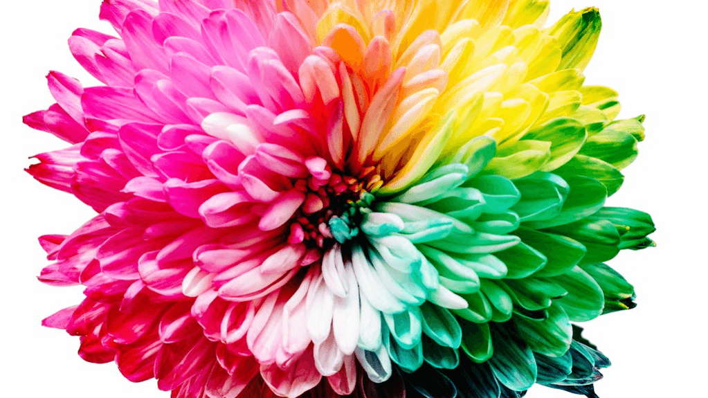 ✨ 5-Day Crystal Reiki Reset