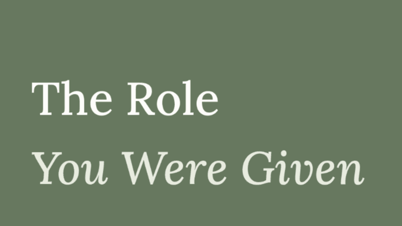 "THE ROLE YOU WERE GIVEN" FREE GUIDE