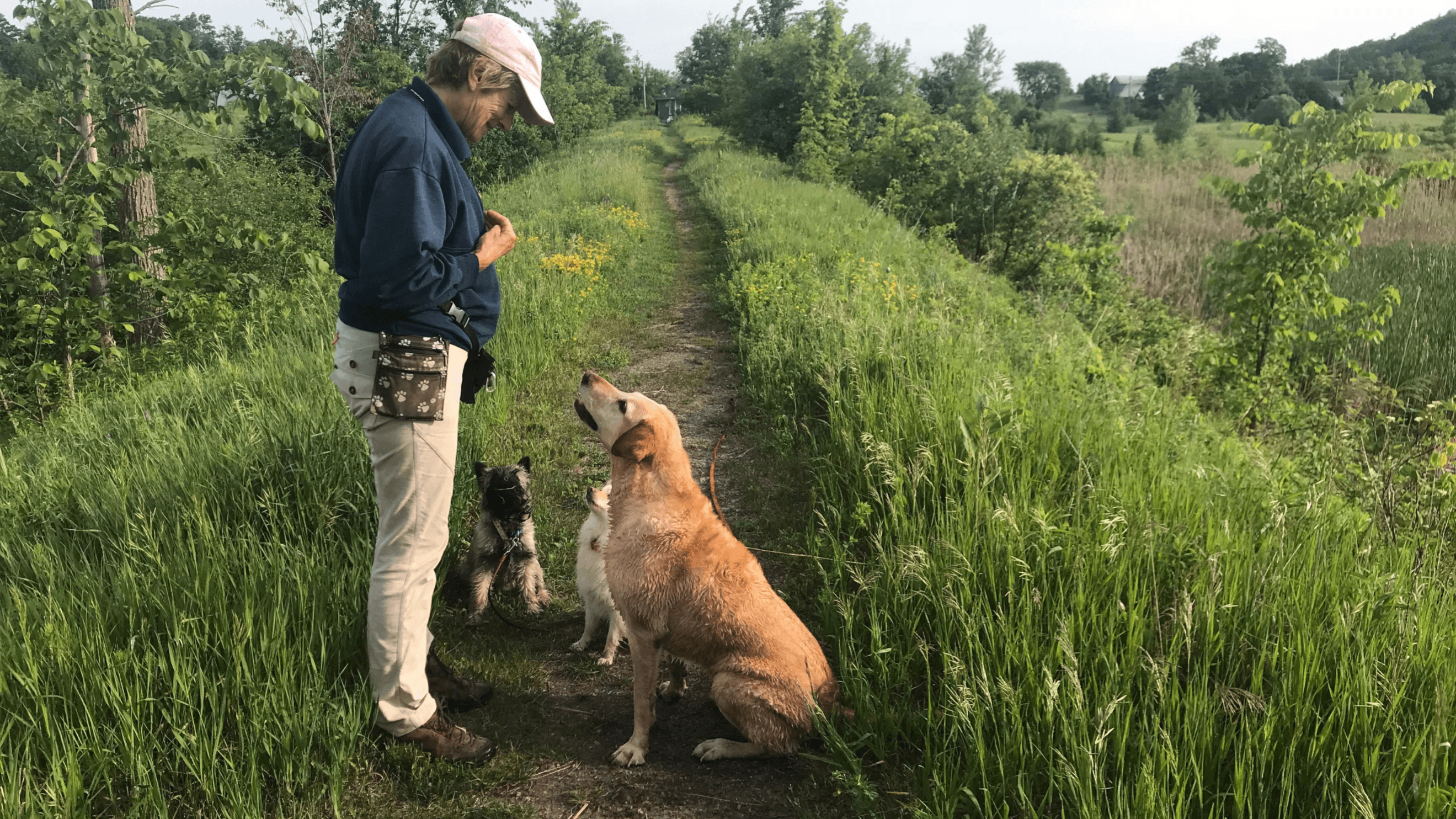 Bad Walk Recovery Checklist