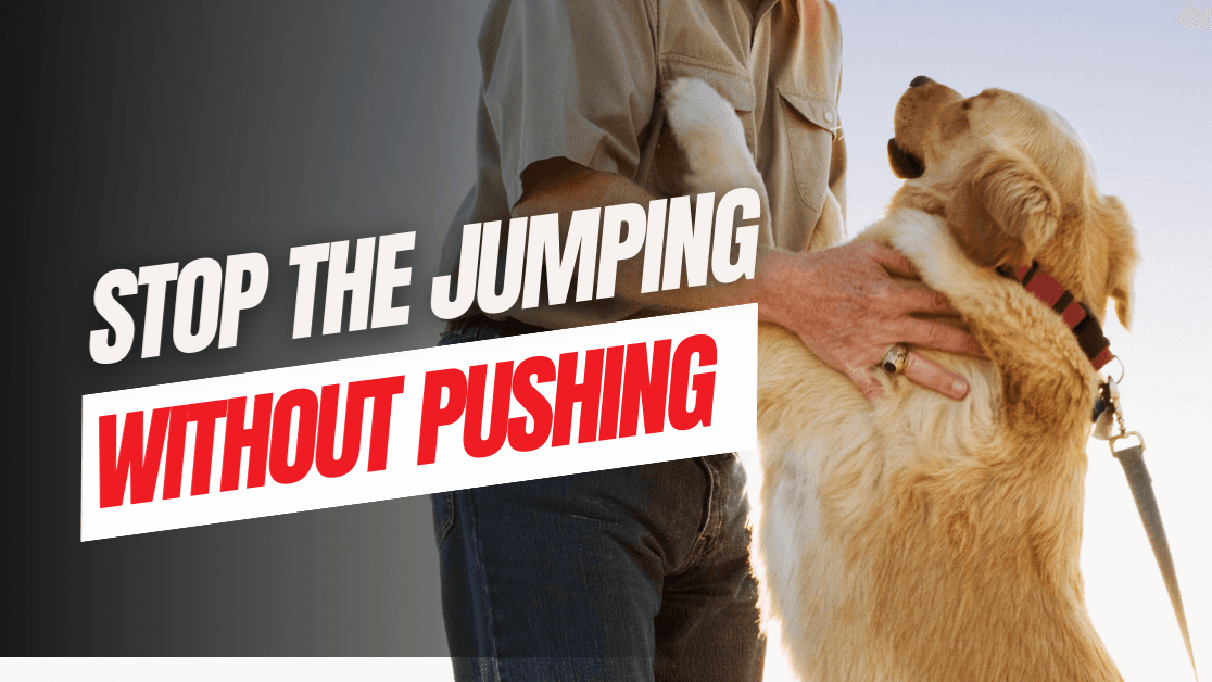Stop  the Jumping – Without Pushing