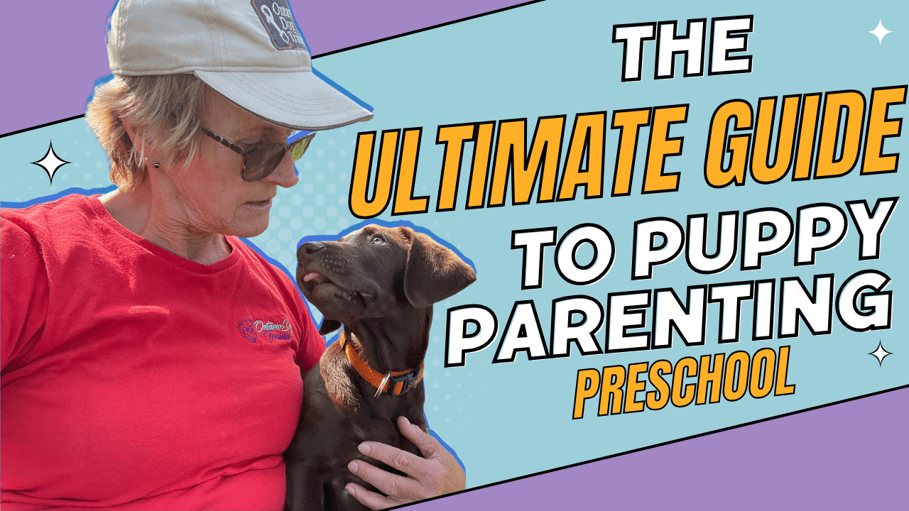 Art of Puppy Parenting