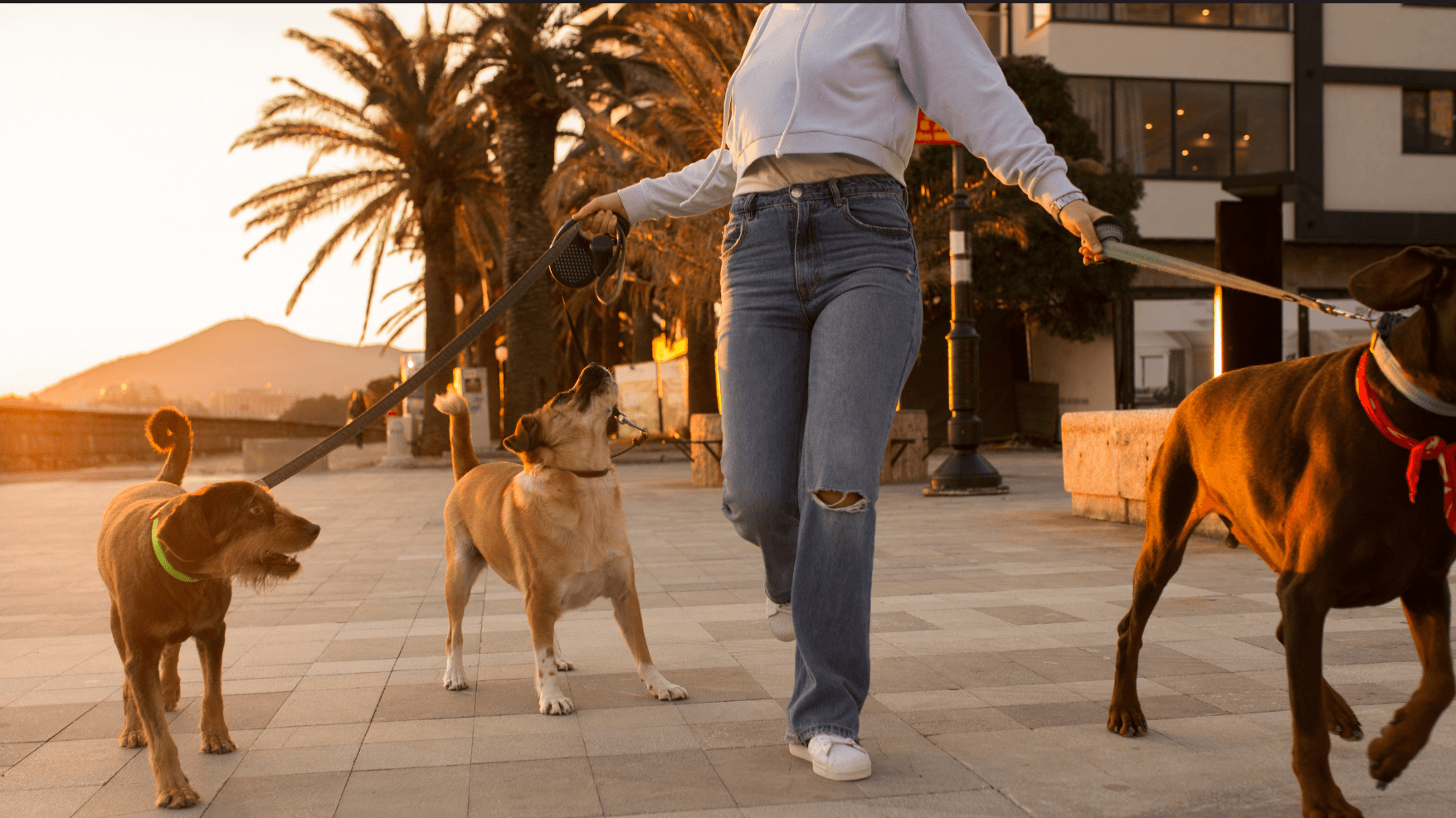 Build Better Walking Reflexes Checklist