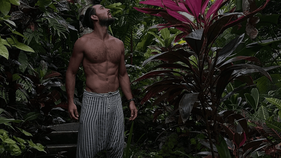 The Vitality Blueprint