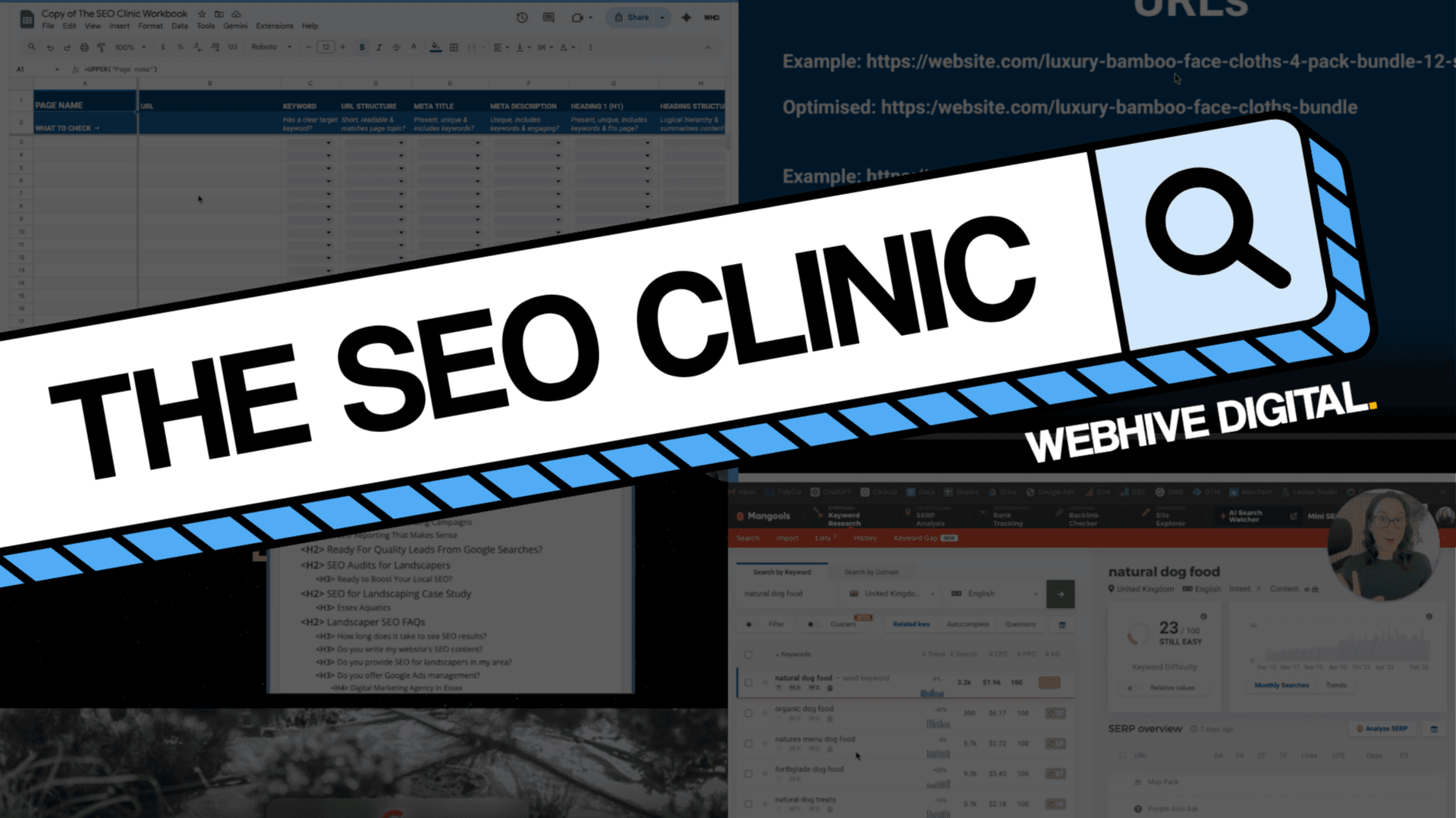 The SEO Clinic