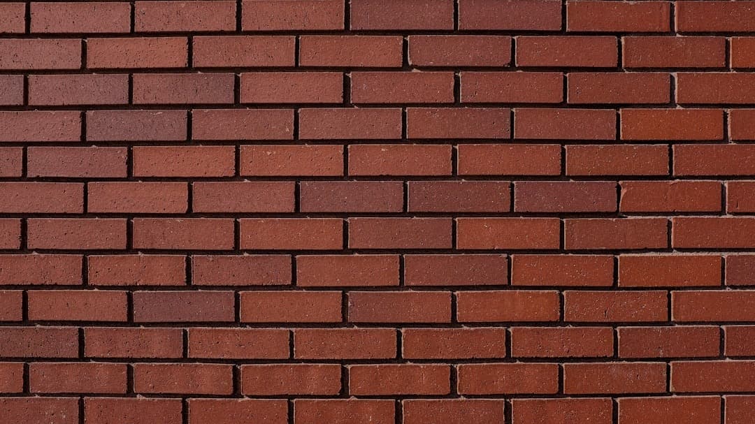 BRICK X BRICK WAITLIST (30 spots) đź§±