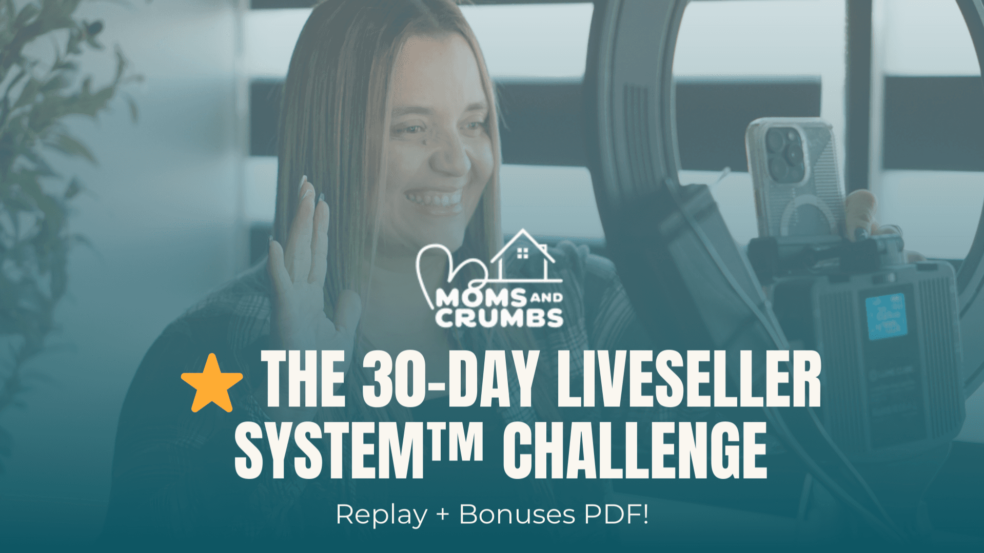Get Instant Access to the 30-Day LiveSeller System