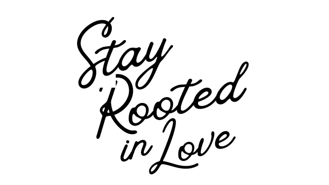 🌱 STAY ROOTED