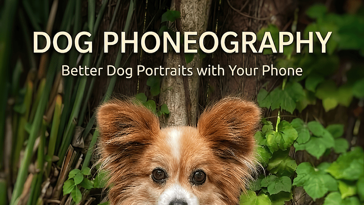 Dog Phoneography Better Dog Photos with Your Phone