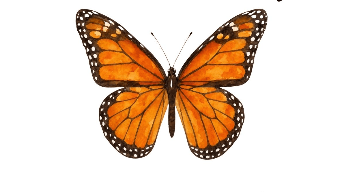 Monarch Butterfly Nature Study