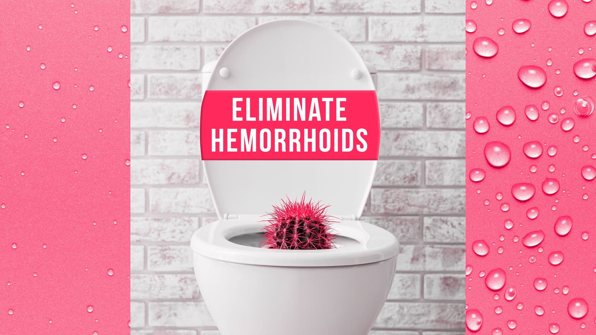 How to Eliminate Your Hemorrhoids PDF
