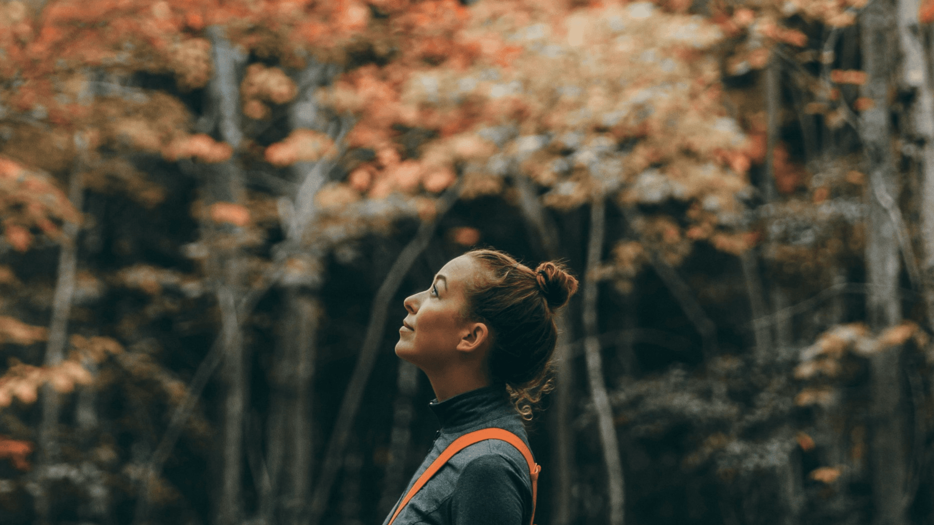 VOCATION : Orientation professionnelle