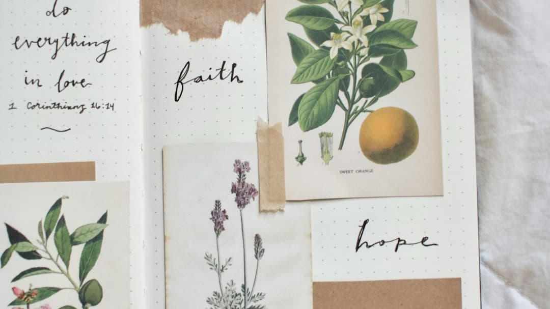 5 Day Confidence & Clarity Journal