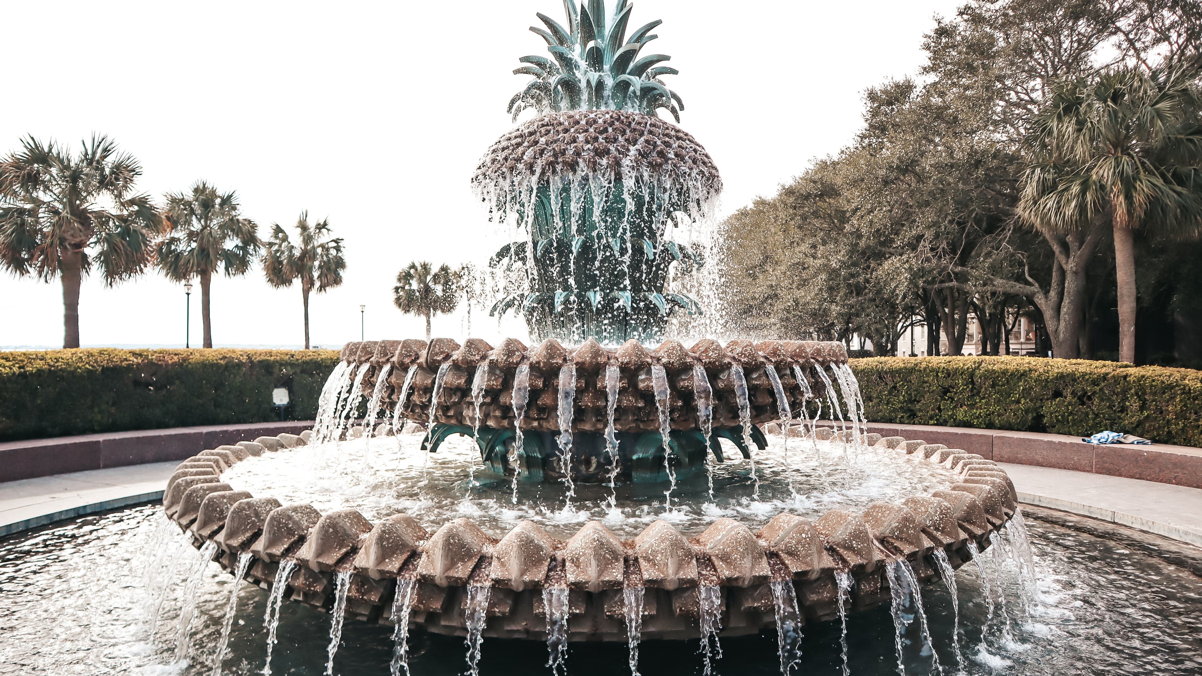 Get My Charleston Travel Guide