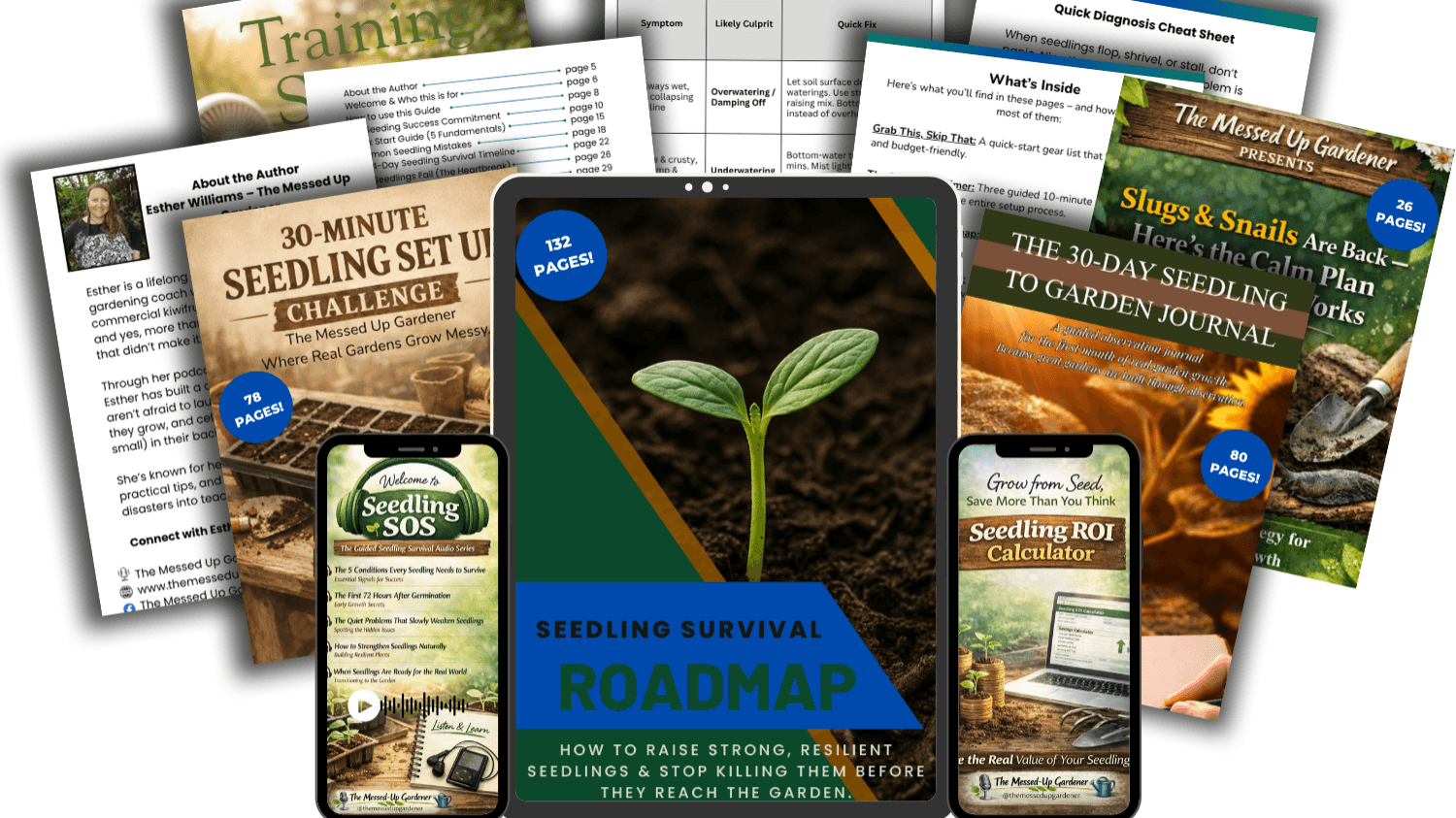 Seedling Survival System