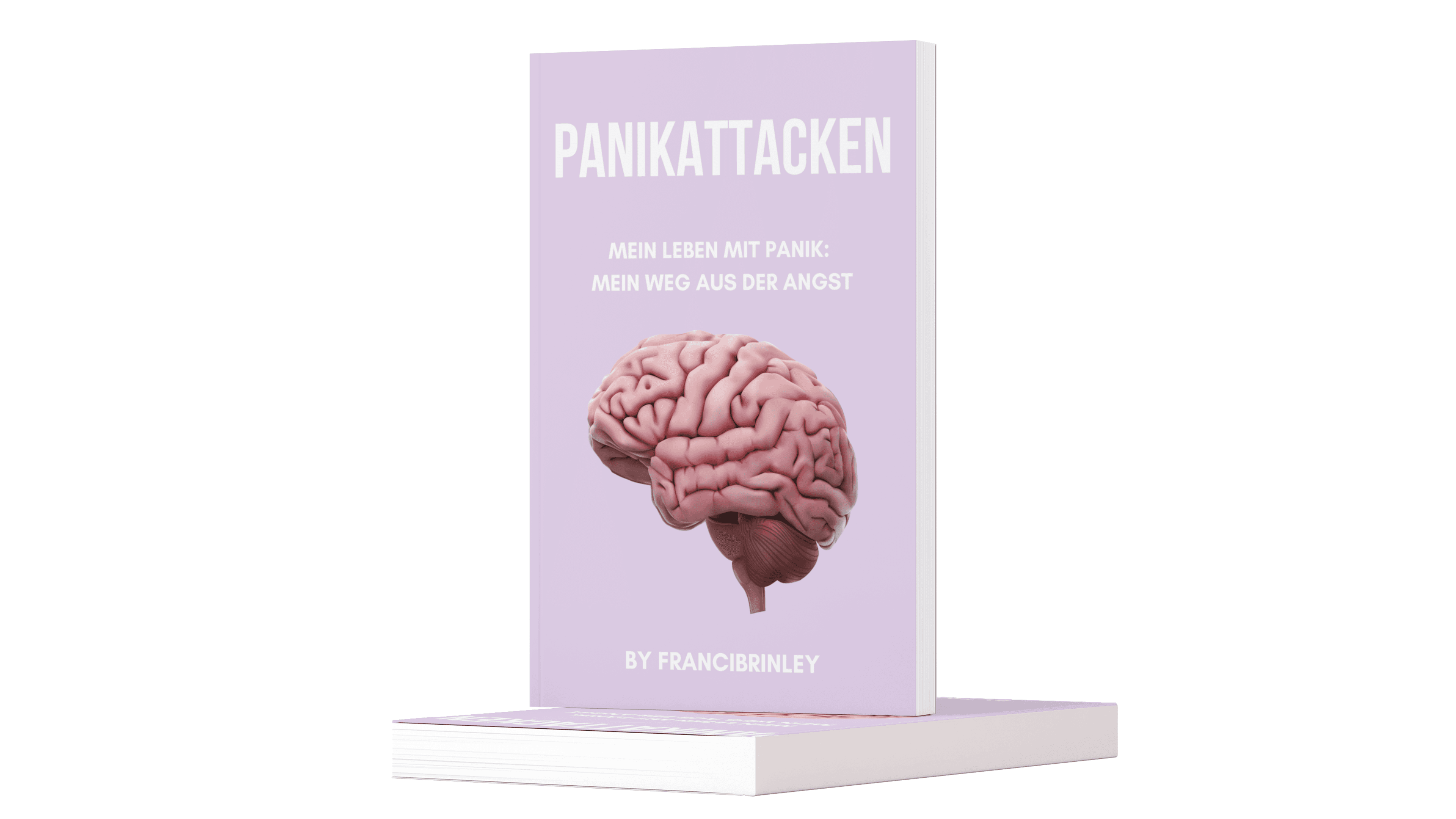 PANIKATTACKEN E- BOOK