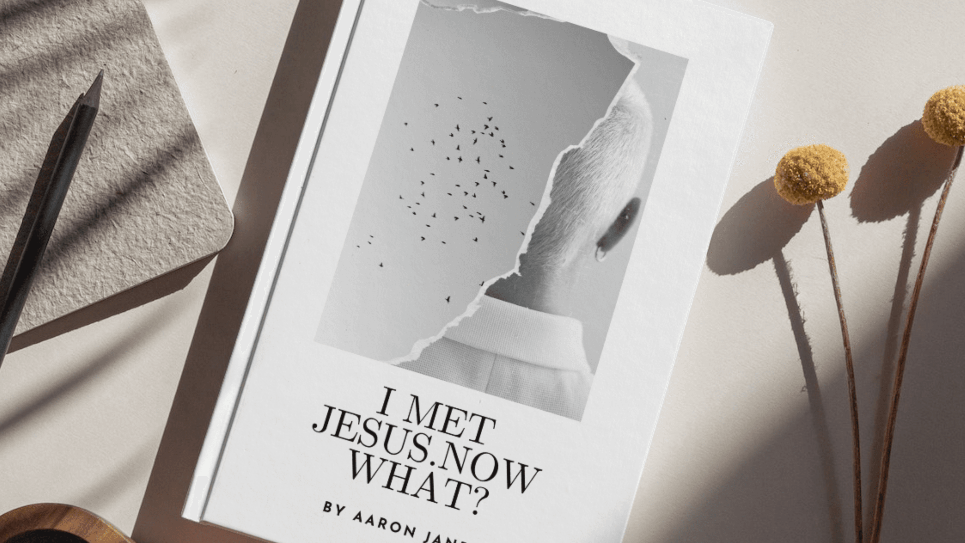 I Met Jesus. Now What? Paperback