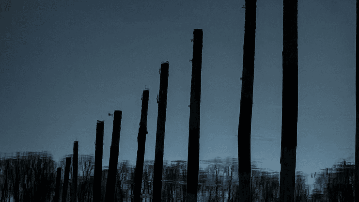 Shadow Series