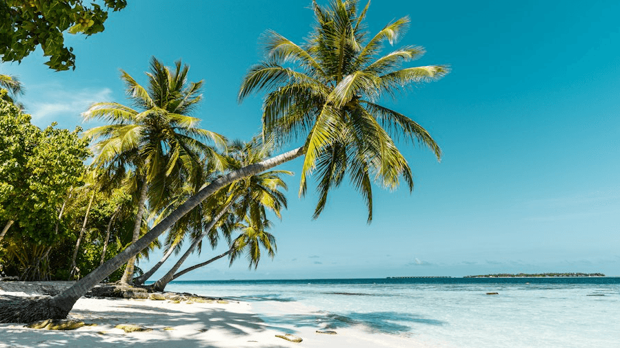 Where Are My Travel Clients?