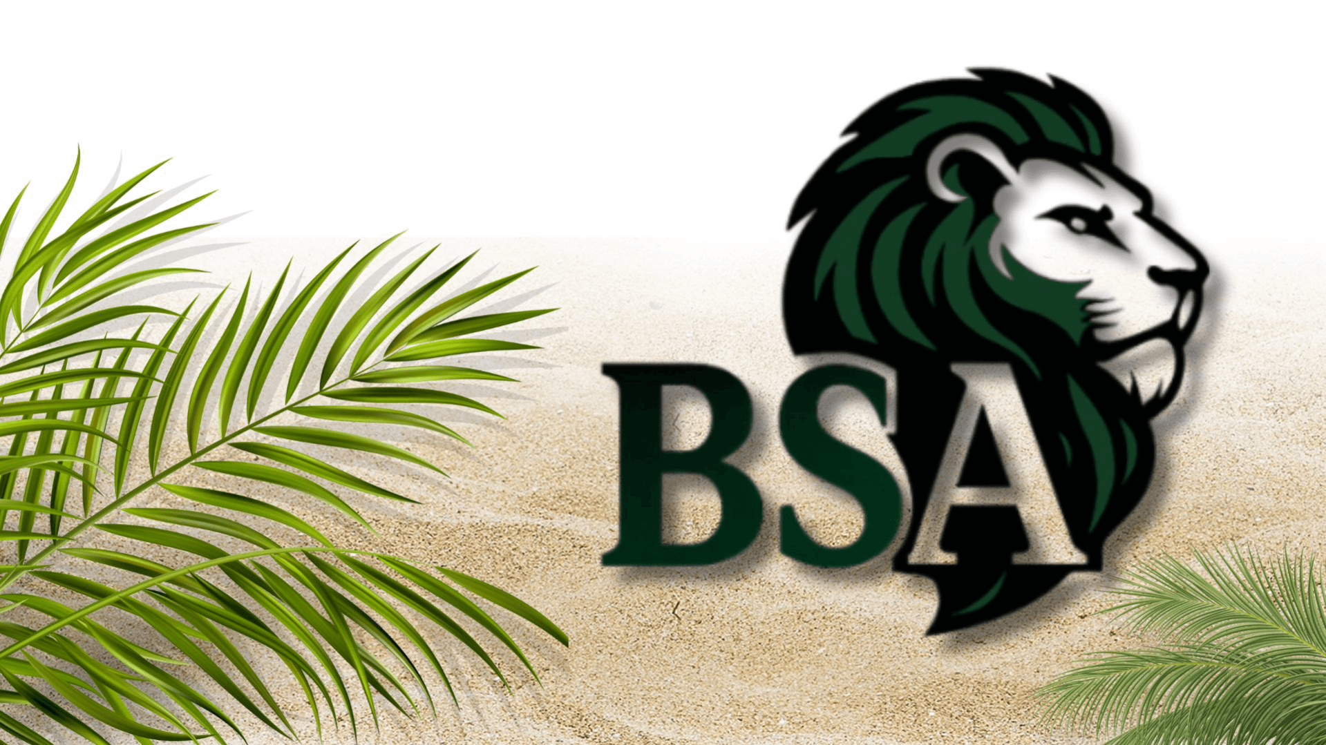 Free Sneak Peek of BSA