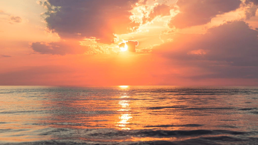 NY to FL Relocation Tips