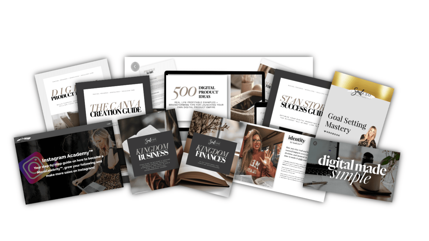 THE VAULT BUNDLE (Includes ALL SoulCEO Courses)