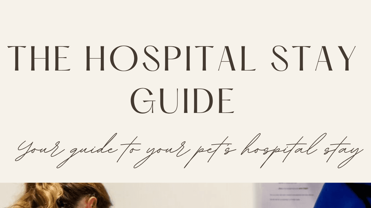 The Hospital Stay Guide
