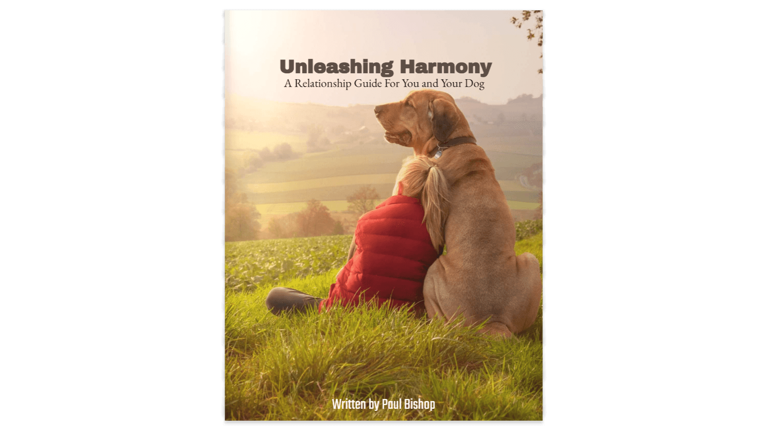 Get Unleashing Harmony Now!