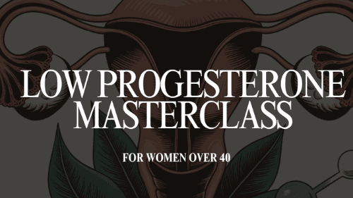 LOW PROGESTERONE MASTERCLASS