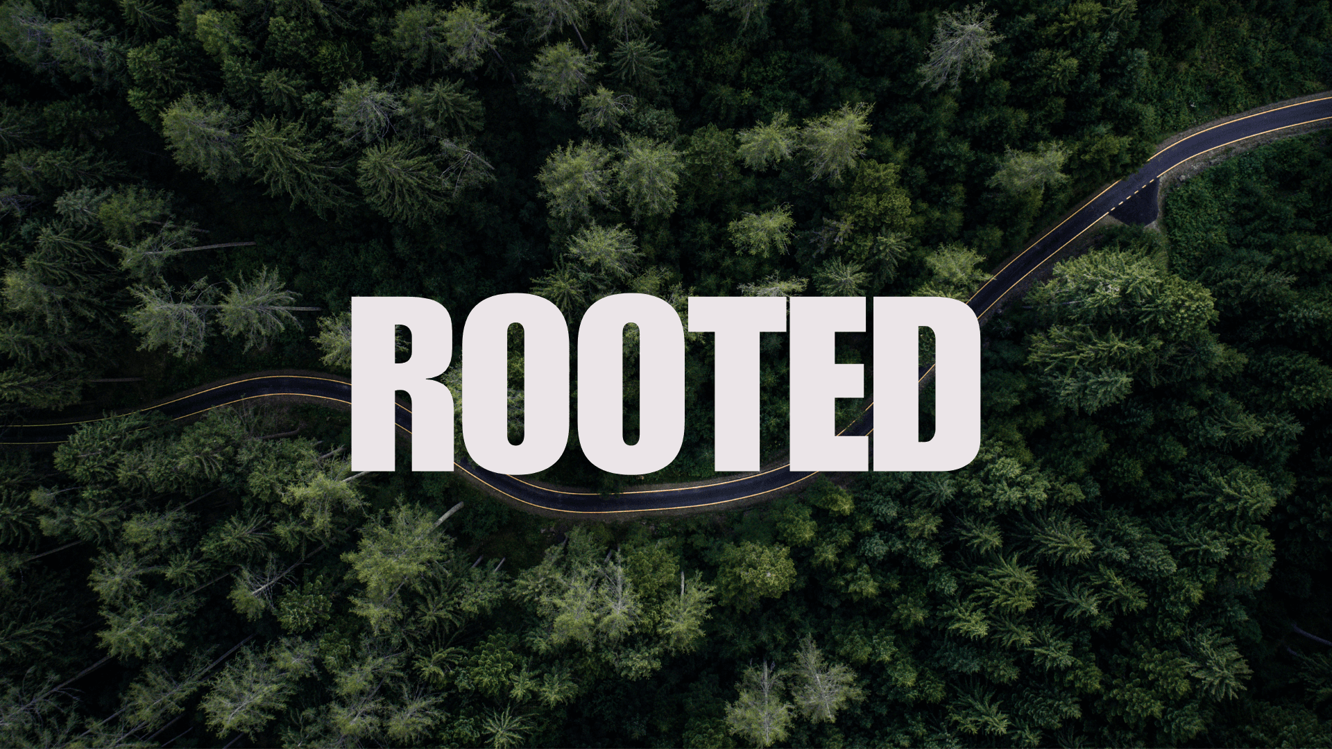 ROOTED