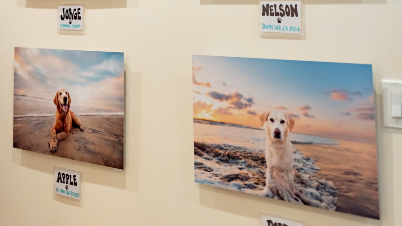 Gallery Wall How-To Guide