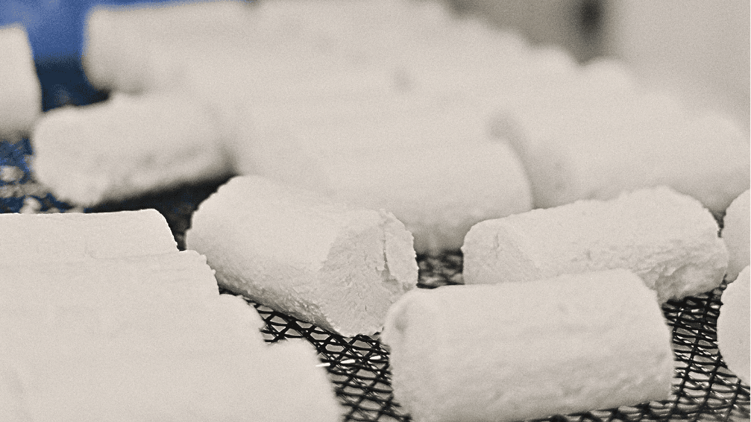 Learn Cheesemaking at Home from Moxie Ridge Farm