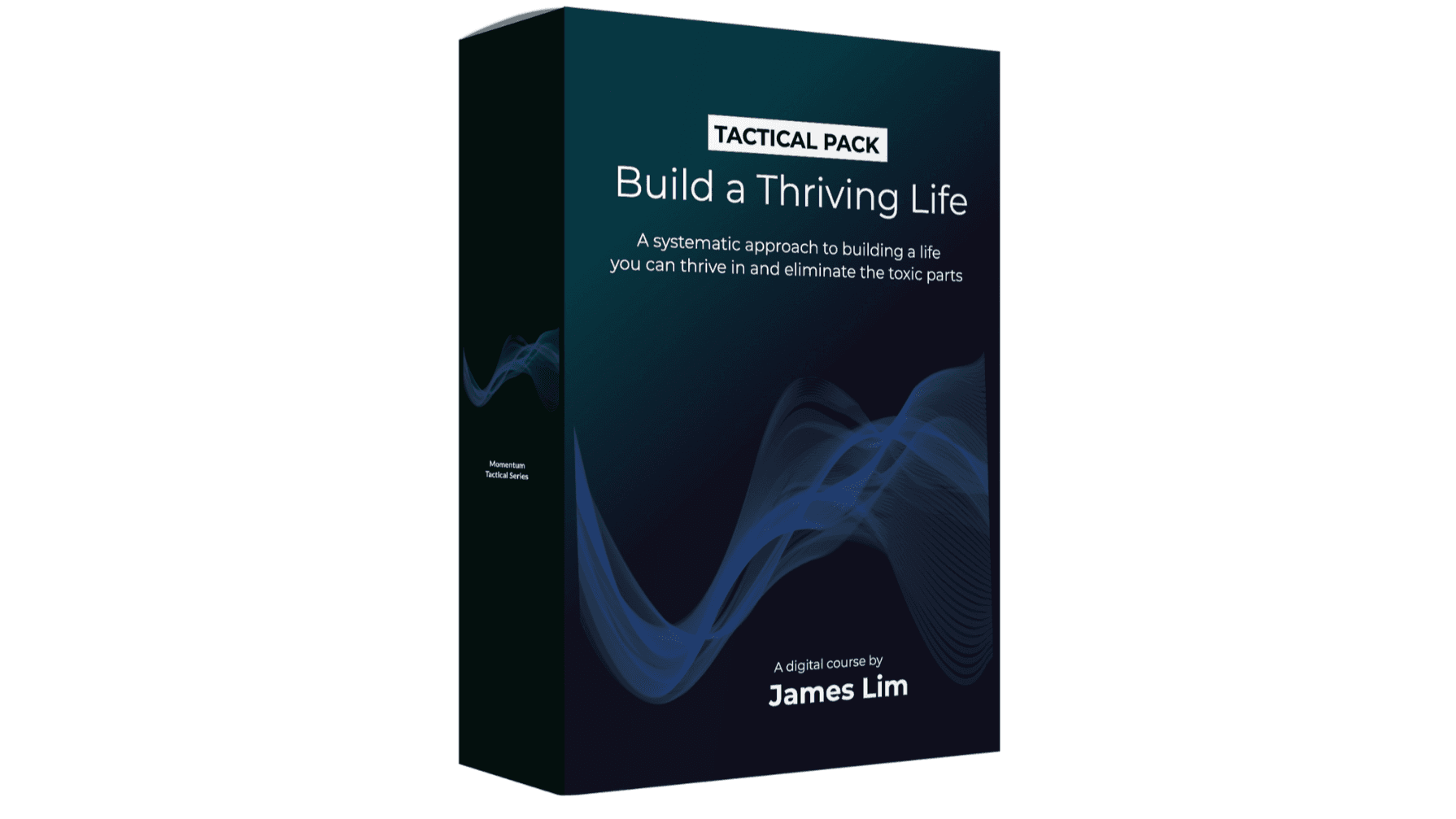Build a Thriving Life (Before You Spiral Deeper)