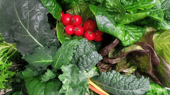 SEPT.OCT.NOV.DEC-LARGE LETT, CRUC,SPROUT