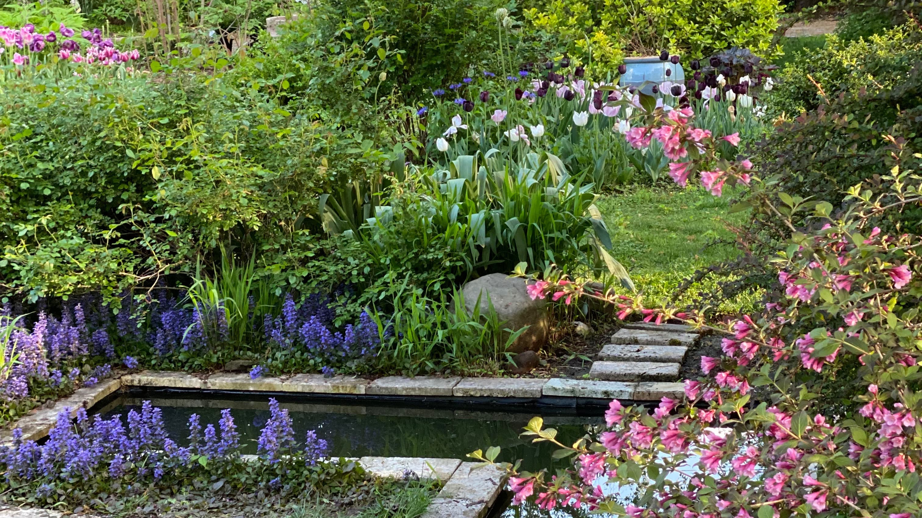 Design Your Dream Garden A How-To Guide