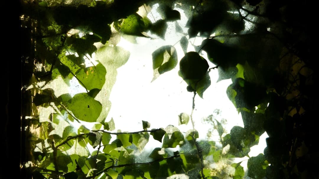Exploring Self-Identity through the Garden of Eden