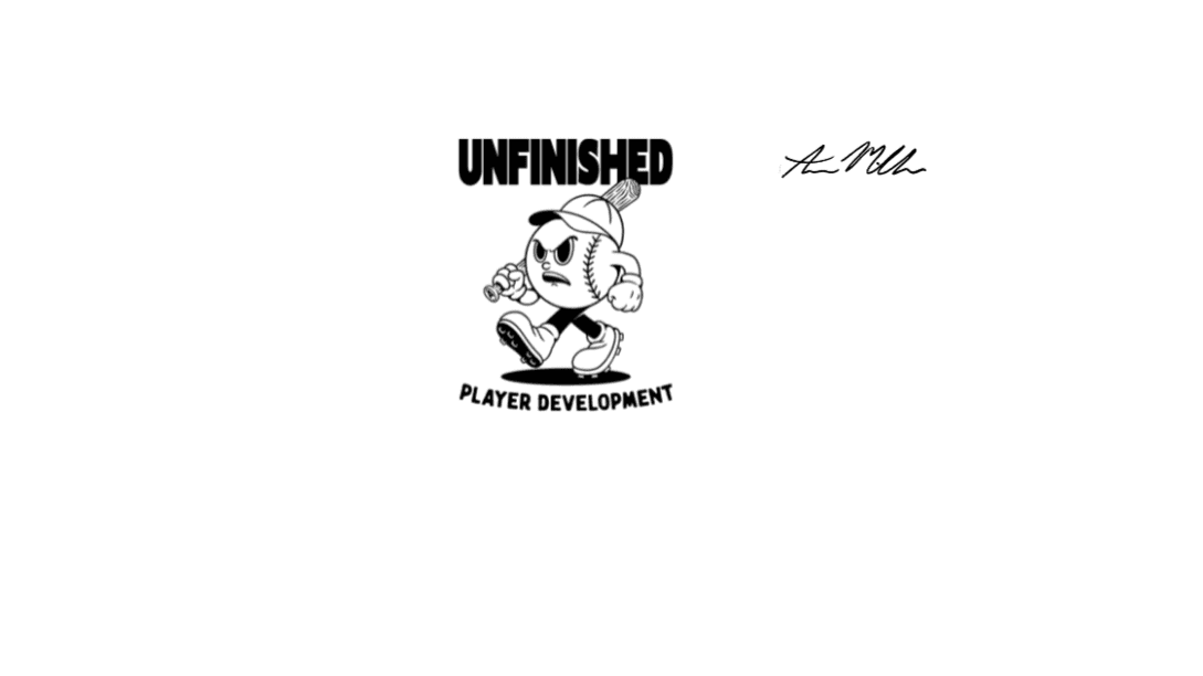 Daily Hitting Journal