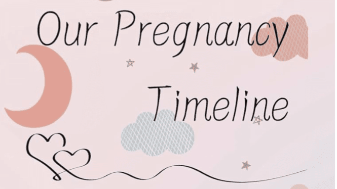 DIGITAL - Our Pregnancy Timeline Journal