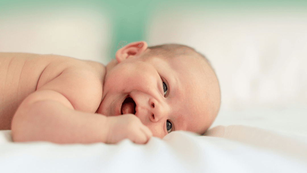 Newborn Routine& Care Essentials (0-5 meses) PT-BR