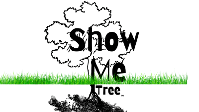 DOWNLOAD & PRINT